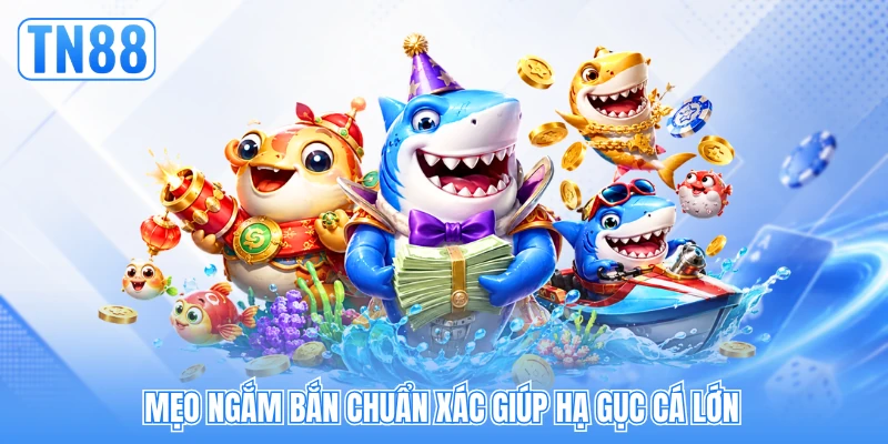 Mẹo ngắm bắn chuẩn xác giúp hạ gục cá lớn